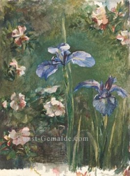  Blume Malerei - Wilden Rosen und Iris Blume John LaFarge